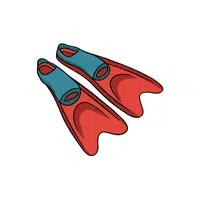 Swim Training Fins