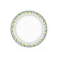 Themed Plates | Birthday Party Items Names in English