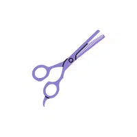 Thinning Shears | Hair Styling Tools Names in English