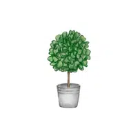 Topiary | Garden Decor Items Names in English