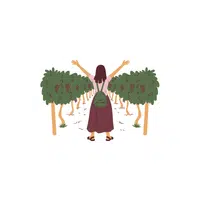 Touring Vineyards