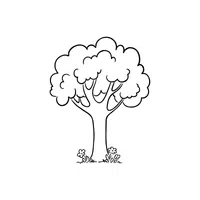 Tree | Coloring Book Objects Names in English