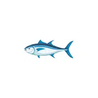 Tuna | Water Animals Names in English