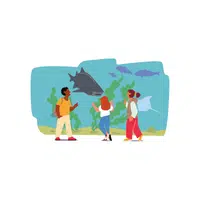 Visiting Aquariums