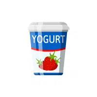 Yogurt | Dairy Products Names in English