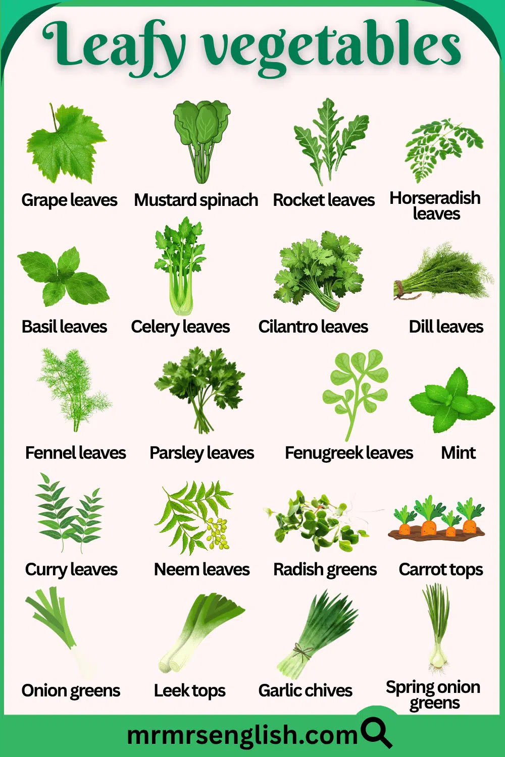 80 Leafy Vegetables Names and their Pictures