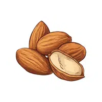 Almond | Types of Nuts Names in English