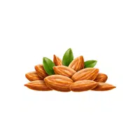 Almonds | Organic Food Items in English