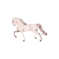 Andalusian Horse