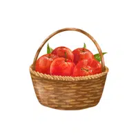 Apples | Organic Food Items in English