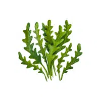 Arugula | Leafy Vegetables Names in English