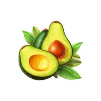 Avocados