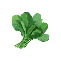 Baby spinach | Leafy Vegetables Names in English