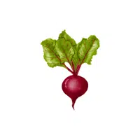 Beet greens | Leafy Vegetables Names in English