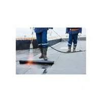 Bitumen Roof - Types of Roofs Names