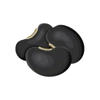 Black Beans