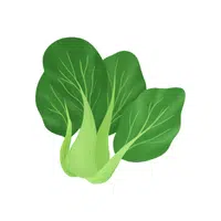 Bok choy | Leafy Vegetables Names in English