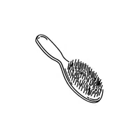 Bristle brush