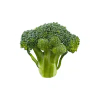 Broccoli | Organic Food Items in English