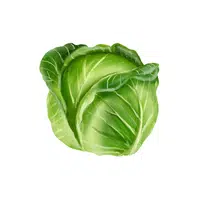 Cabbage | Organic Food Items in English