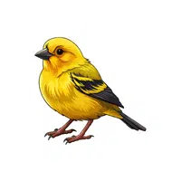 Canary | Domestic Animals Names in English