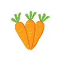 Carrots | Organic Food Items in English