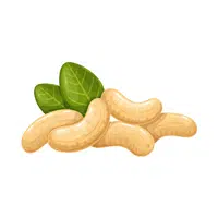 Cashews | Organic Food Items in English