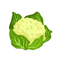 Cauliflower leaves | Leafy Vegetables Names in English