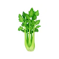 Celery leaves | Leafy Vegetables Names in English