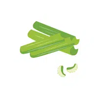 Celery Sticks | Types of Snacks Names in English