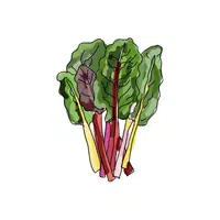 Chard | Organic Food Items in English