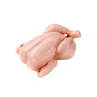 Chicken | Organic Food Items in English