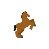 Clydesdale Horse