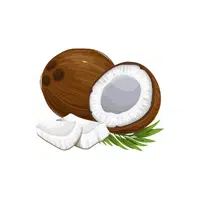 Coconut | Organic Food Items in English