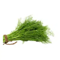 Dill leaves | Leafy Vegetables Names in English