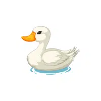 Duck | Domestic Animals Names in English