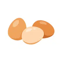 Eggs | Organic Food Items in English