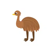 Emu | Domestic Animals Names in English