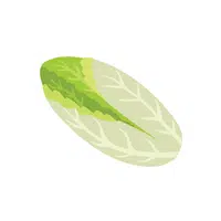 Endive | Leafy Vegetables Names in English