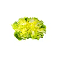 Escarole | Leafy Vegetables Names in English