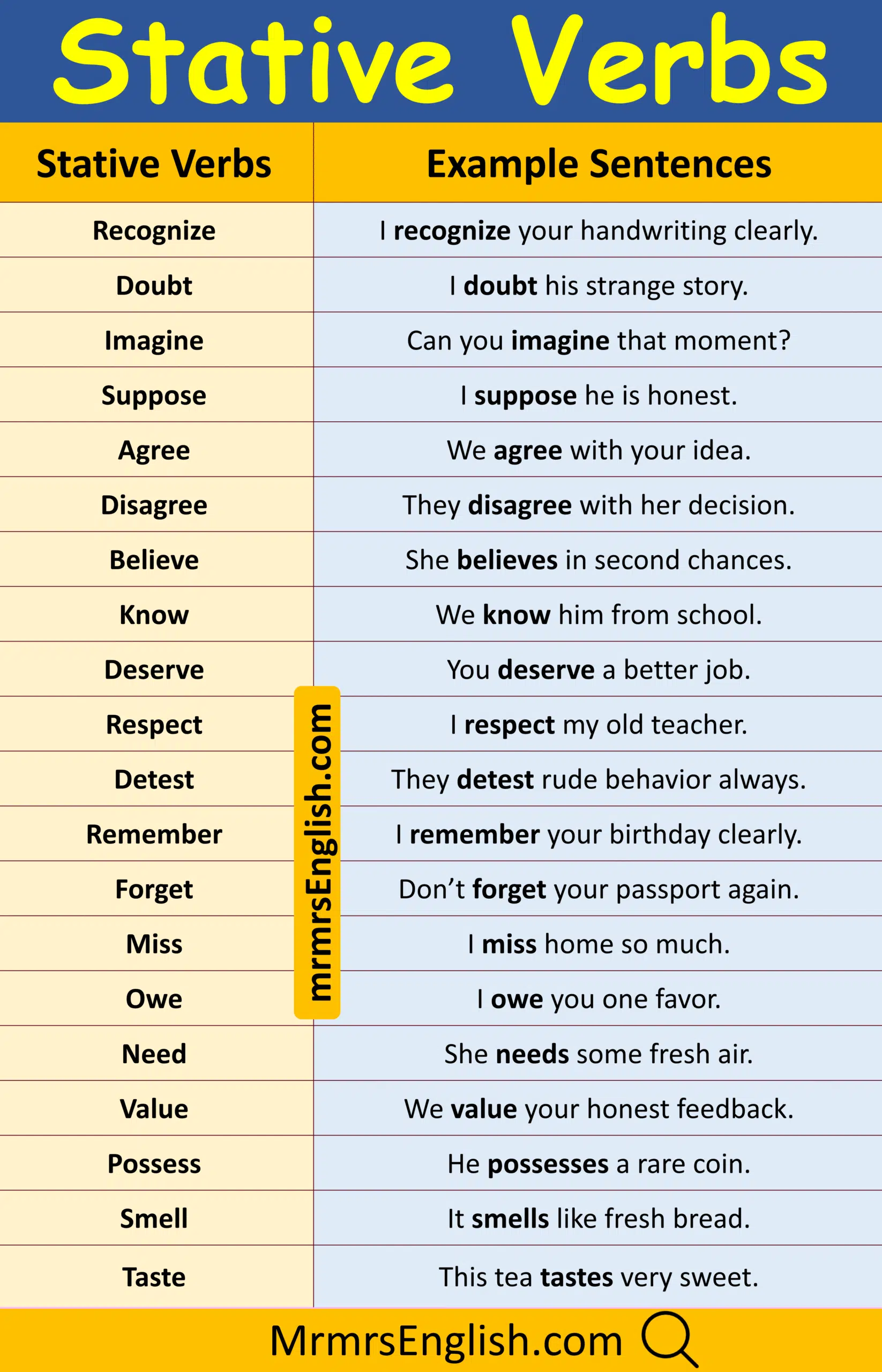 Examples of Stative Verbs with Pictures