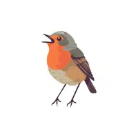 Finch | Domestic Animals Names in English