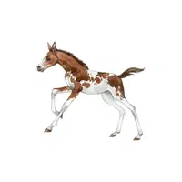 Foal | Domestic Animals Names in English
