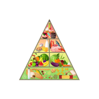 Food Pyramid Game