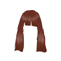 Fringe | Haircuts Names for Girls in English