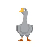 Gander | Domestic Animals Names in English