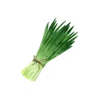 Garlic chives | Leafy Vegetables Names in English