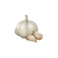 Garlic | Organic Food Items in English
