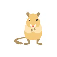 Gerbil | Domestic Animals Names in English