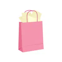 Gift Bag